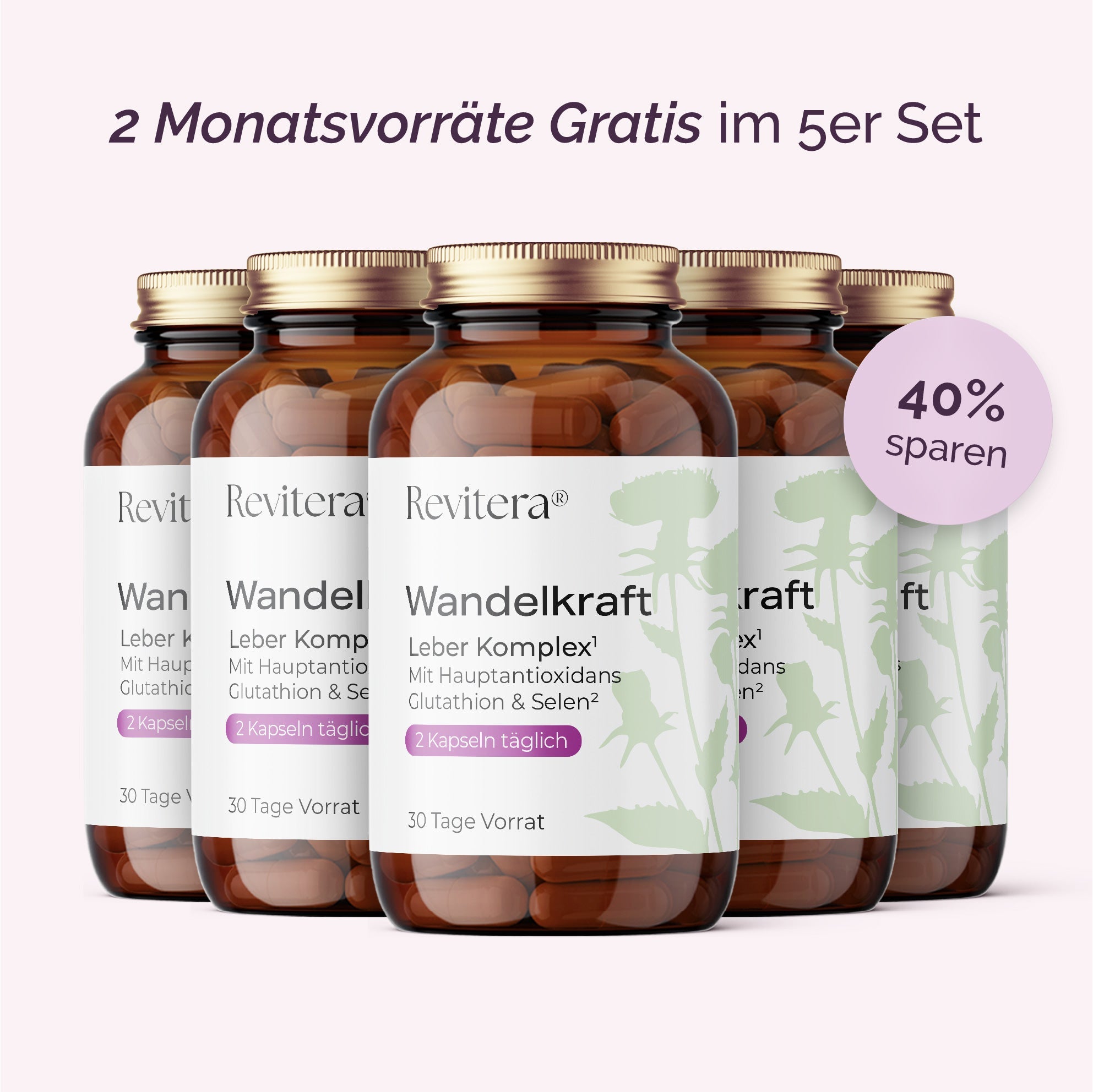 Wandelkraft - Revitera