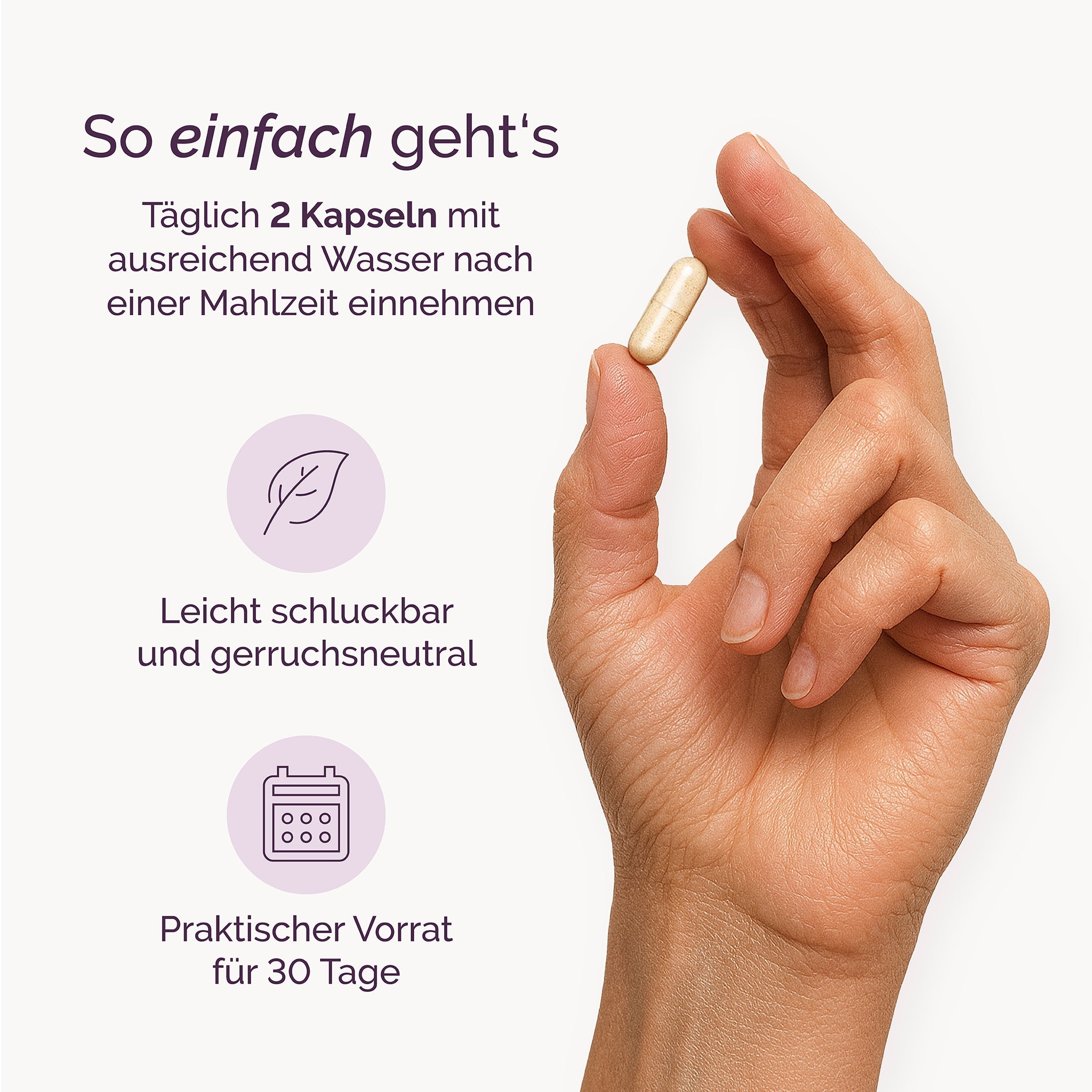 Wandelkraft - Revitera